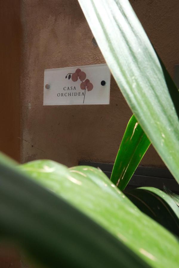 Apartament Casa Orchidea Rzym Zewnętrze zdjęcie